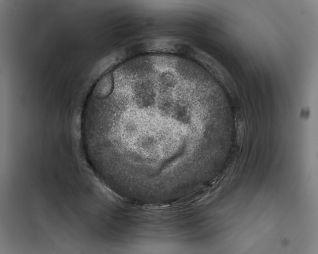 X0000101440729200808041214