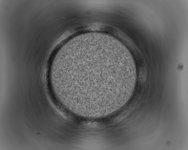 X0000101440730200808041214