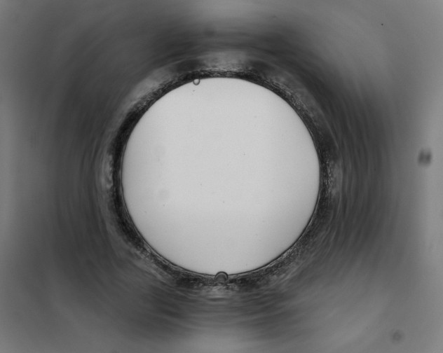 X0000101440731200808041214