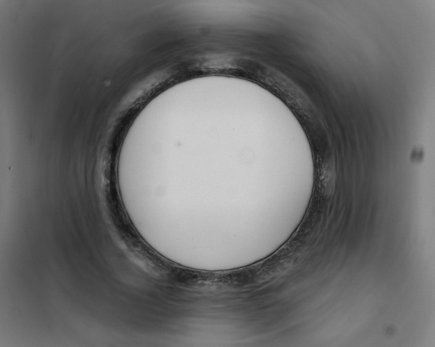 X0000101440732200808041214