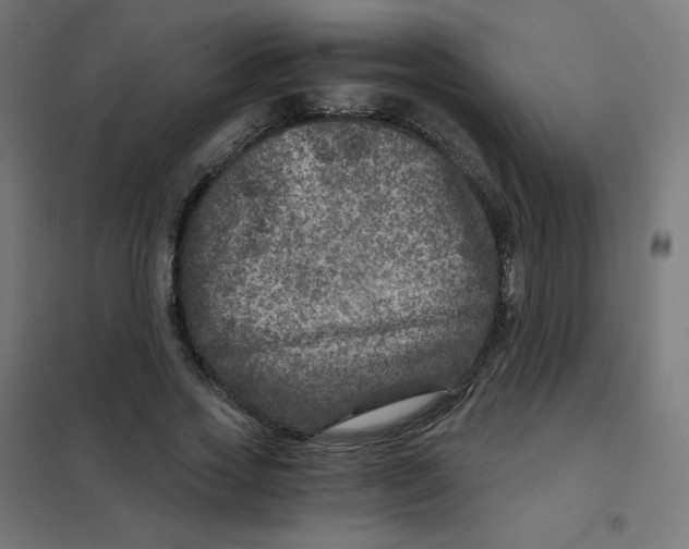 X0000101440733200808041214