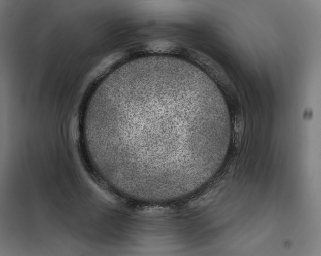 X0000101440734200808041214