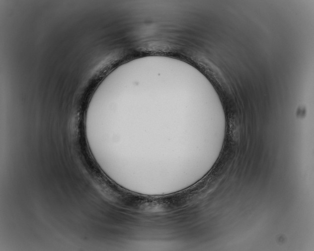X0000101440735200808041214