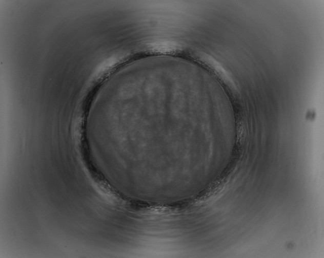X0000101440736200808041214