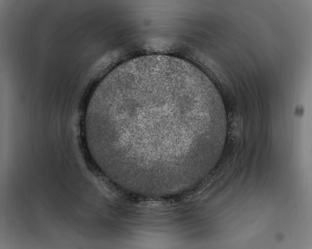 X0000101440738200808041214