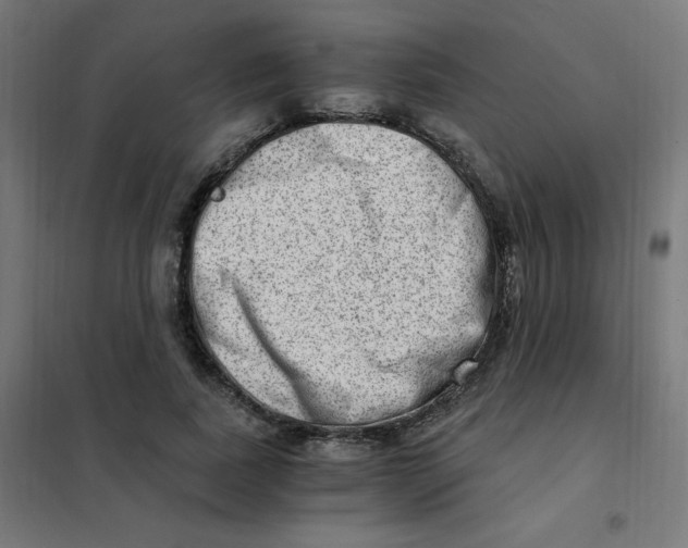 X0000101440739200808041214