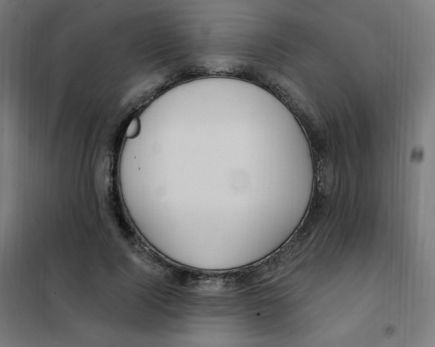 X0000101440740200808041214