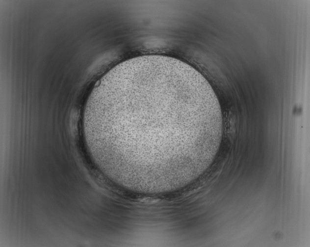 X0000101440742200808041214