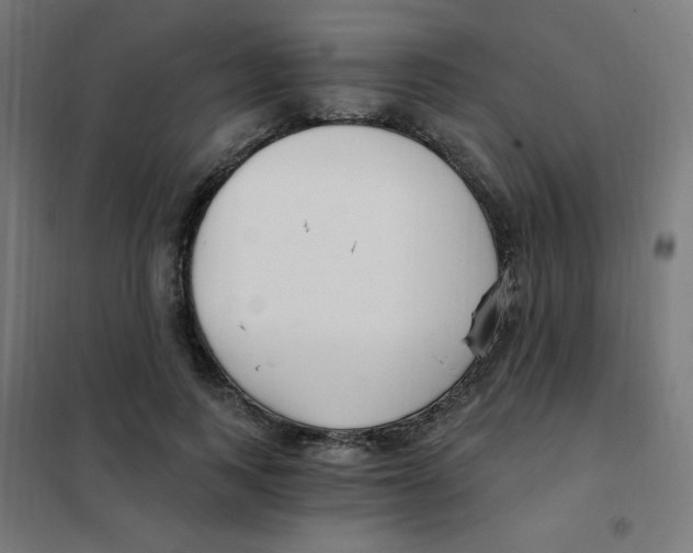 X0000101440743200808041214