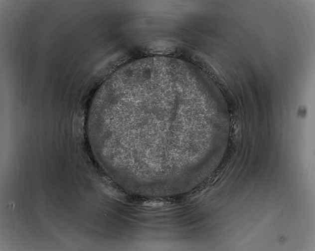X0000101440745200808041214