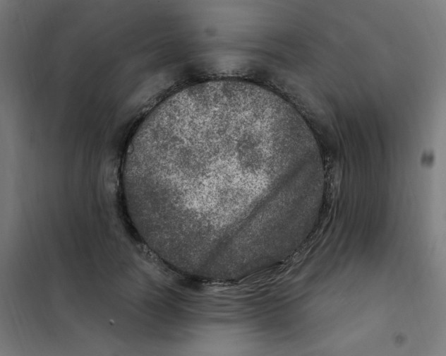 X0000101440746200808041214