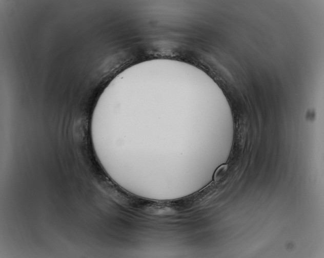 X0000101440747200808041214