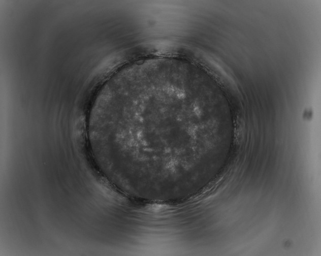 X0000101440748200808041214