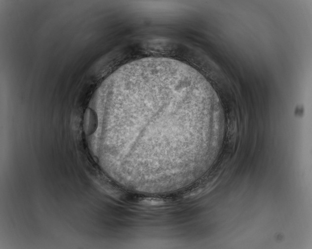 X0000101440749200808041214
