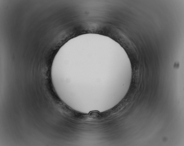 X0000101440750200808041214