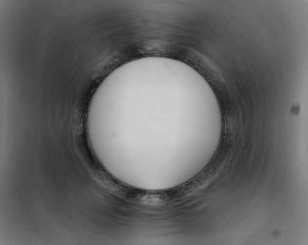 X0000101440751200808041214