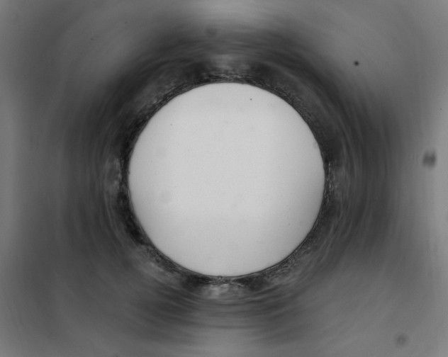 X0000101440752200808041214