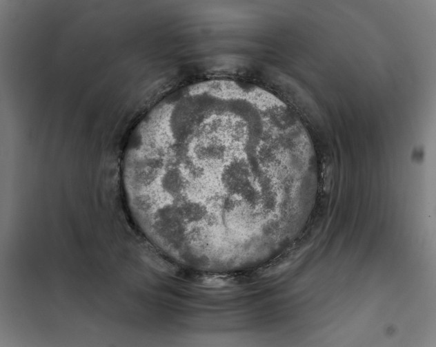 X0000101440753200808041214