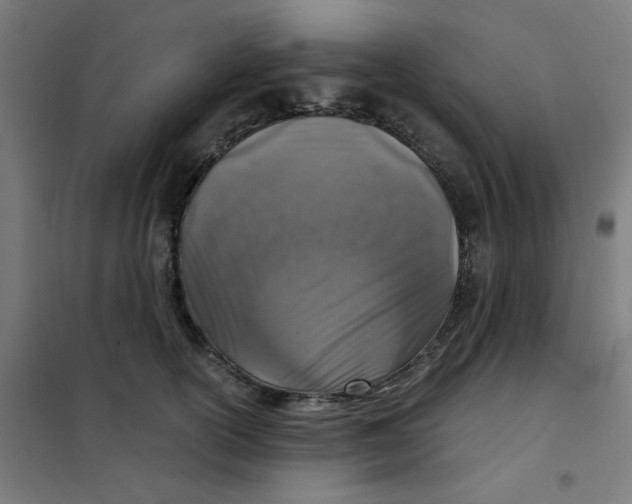 X0000101440754200808041214