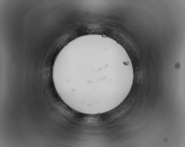 X0000101440756200808041214