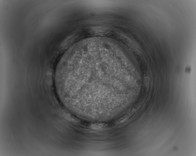 X0000101440757200808041215