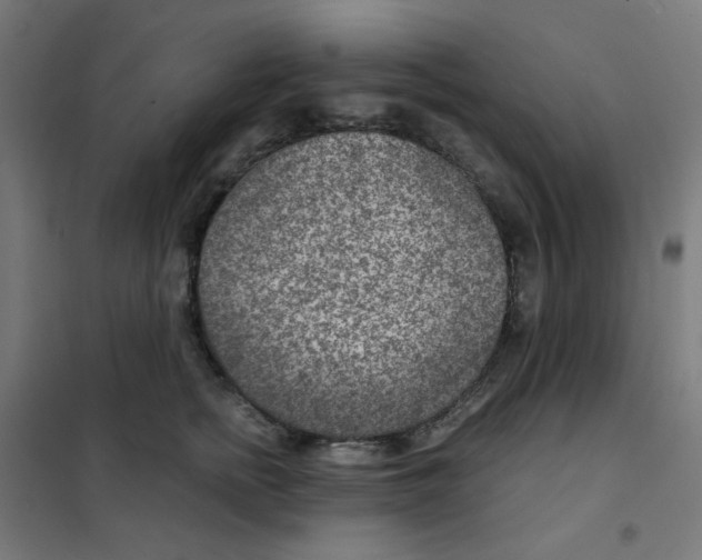 X0000101440758200808041215