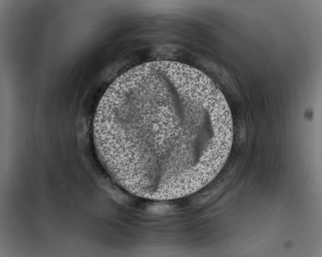 X0000101440759200808041215