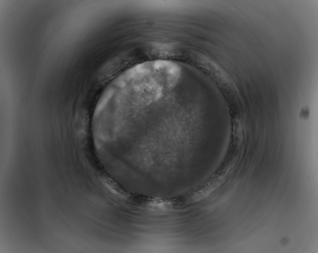 X0000101440760200808041215
