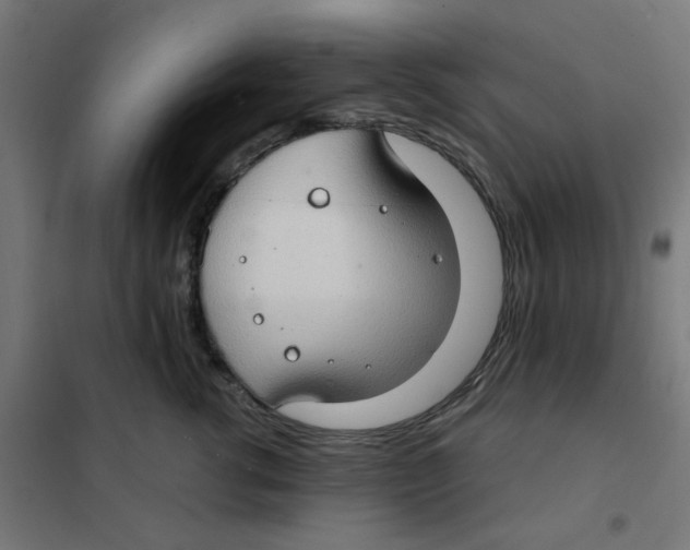 X0000101440762200808041215