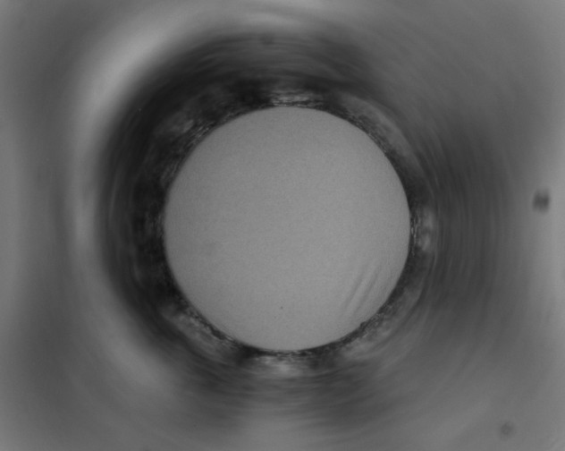 X0000101440763200808041215