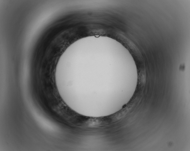 X0000101440764200808041215