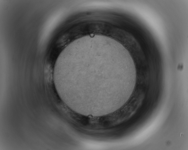 X0000101440766200808041215