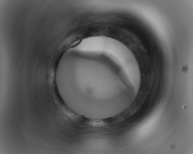 X0000101440767200808041215
