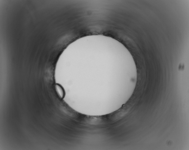 X0000101440768200808041215