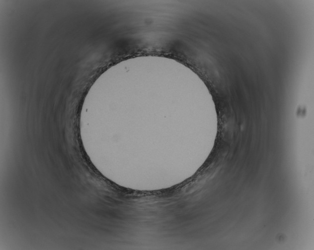 X0000101440769200808041214