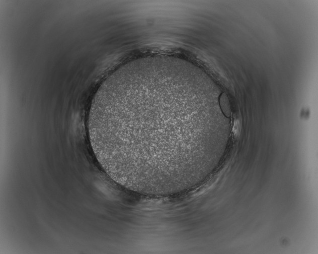 X0000101440771200808041214