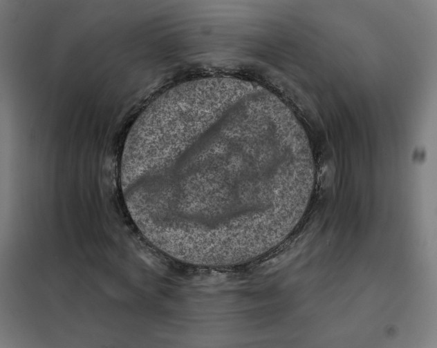 X0000101440772200808041214