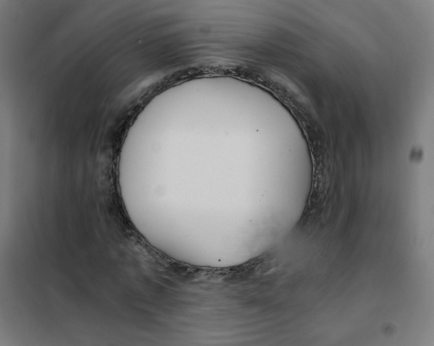 X0000101440773200808041214