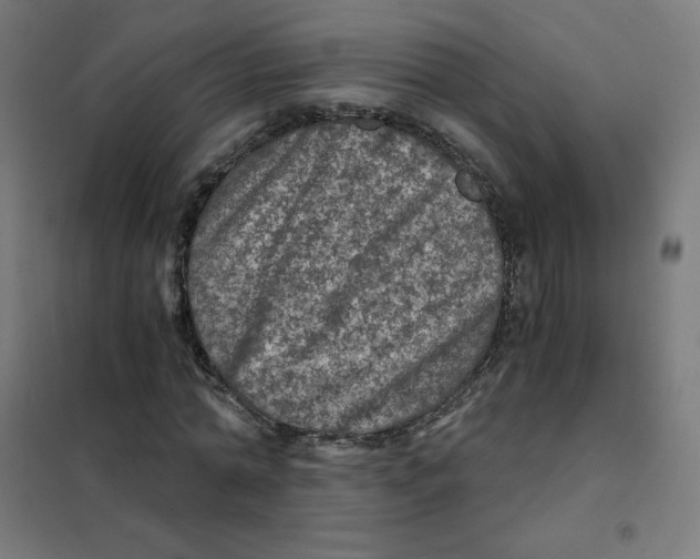 X0000101440774200808041214