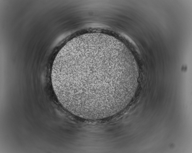 X0000101440775200808041214