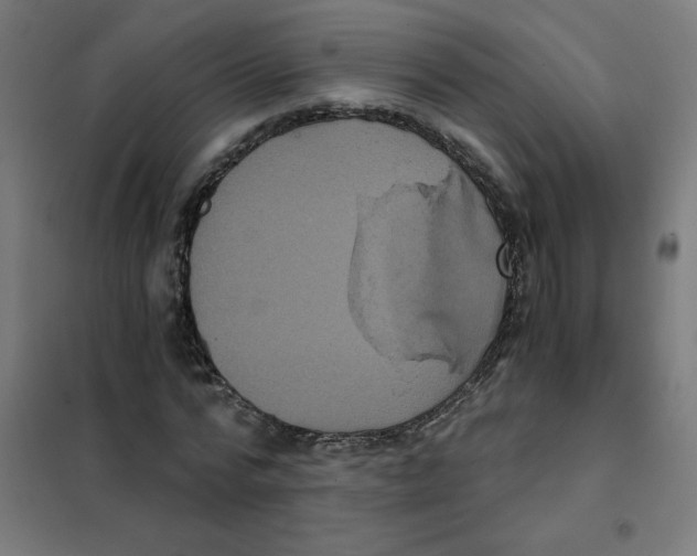 X0000101440776200808041214