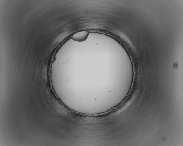X0000101440777200808041214
