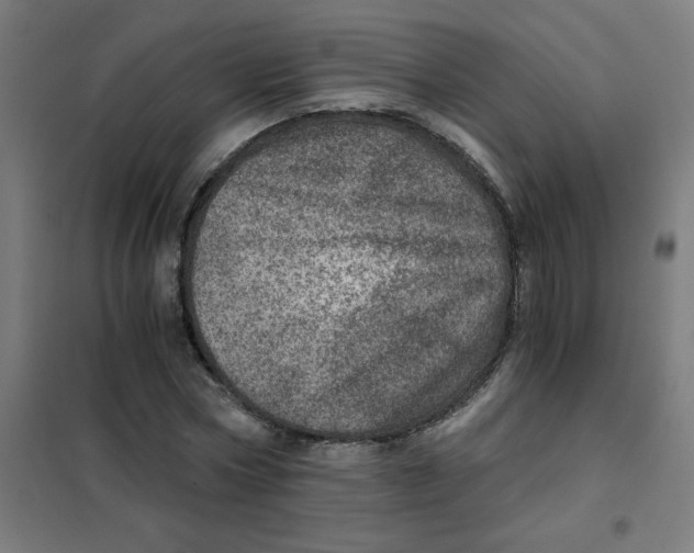X0000101440778200808041214