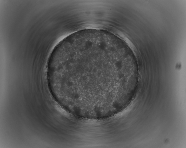 X0000101440779200808041214