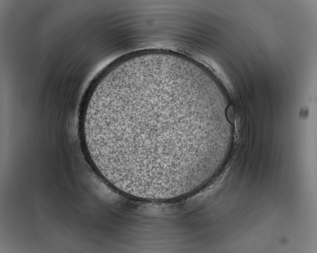X0000101440780200808041214