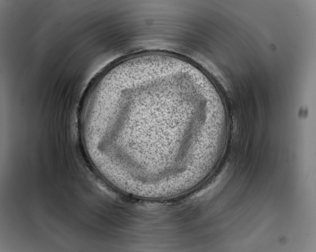 X0000101440782200808041214