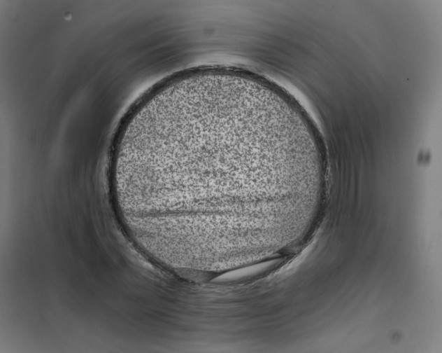X0000101440783200808041214