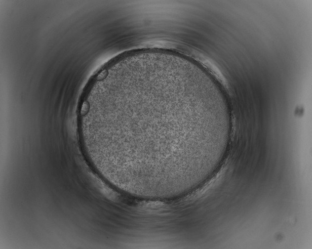 X0000101440784200808041214