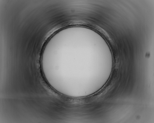 X0000101440786200808041214
