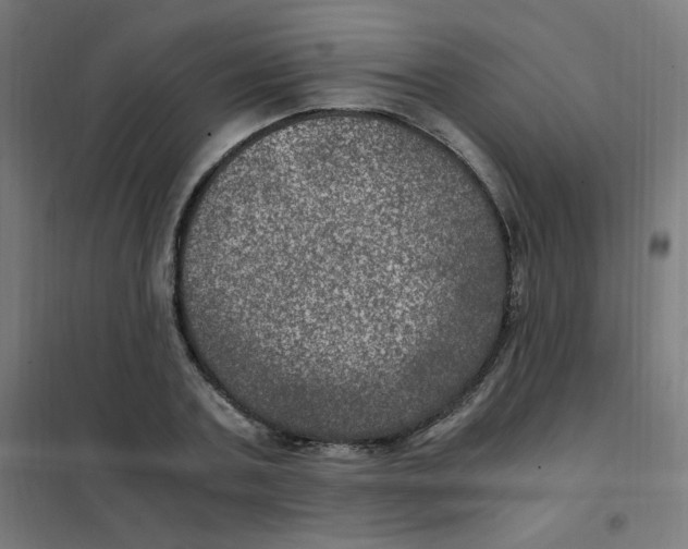 X0000101440787200808041214